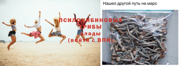 jwh Сосновый Бор