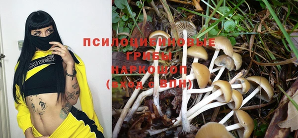 jwh Сосновый Бор
