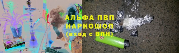 СК Сосновоборск