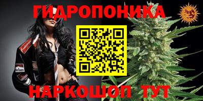 кокаин колумбия Берёзовский