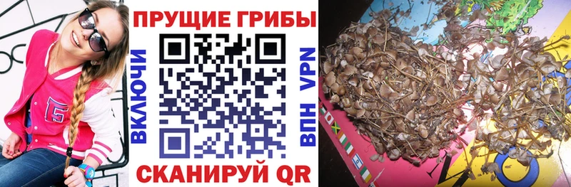 Псилоцибиновые грибы Magic Shrooms  купить наркоту  Джанкой 