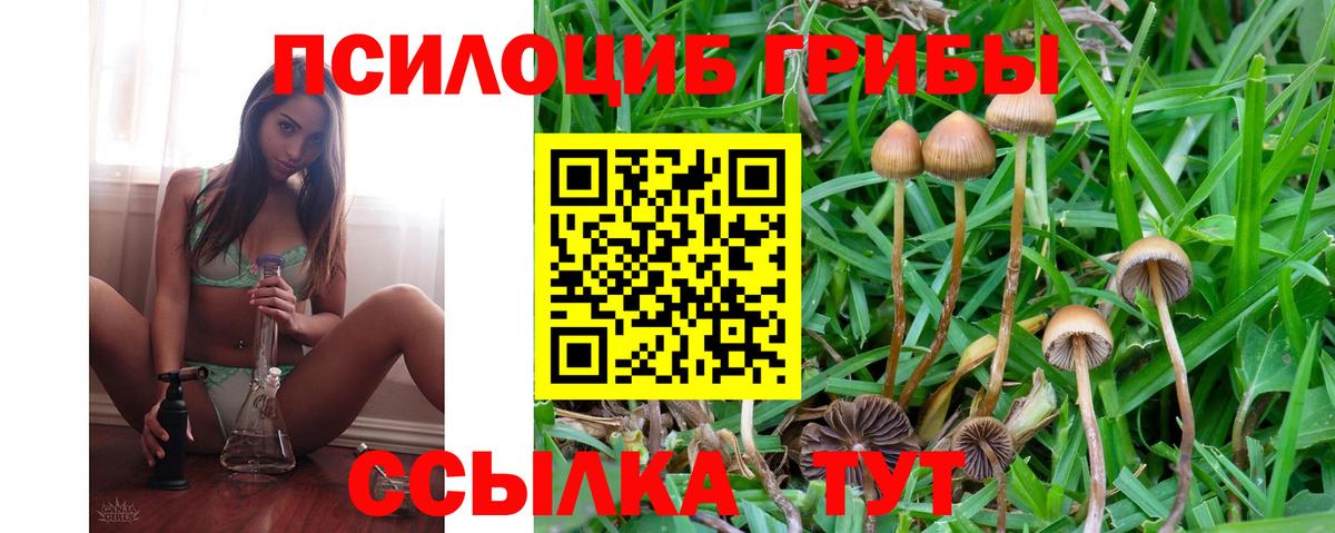 Псилоцибиновые грибы Magic Shrooms Джанкой