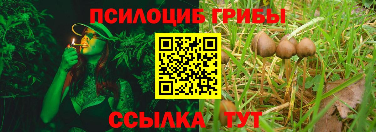 Джанкой  Галлюциногенные грибы Magic Shrooms  Вход с VPN 